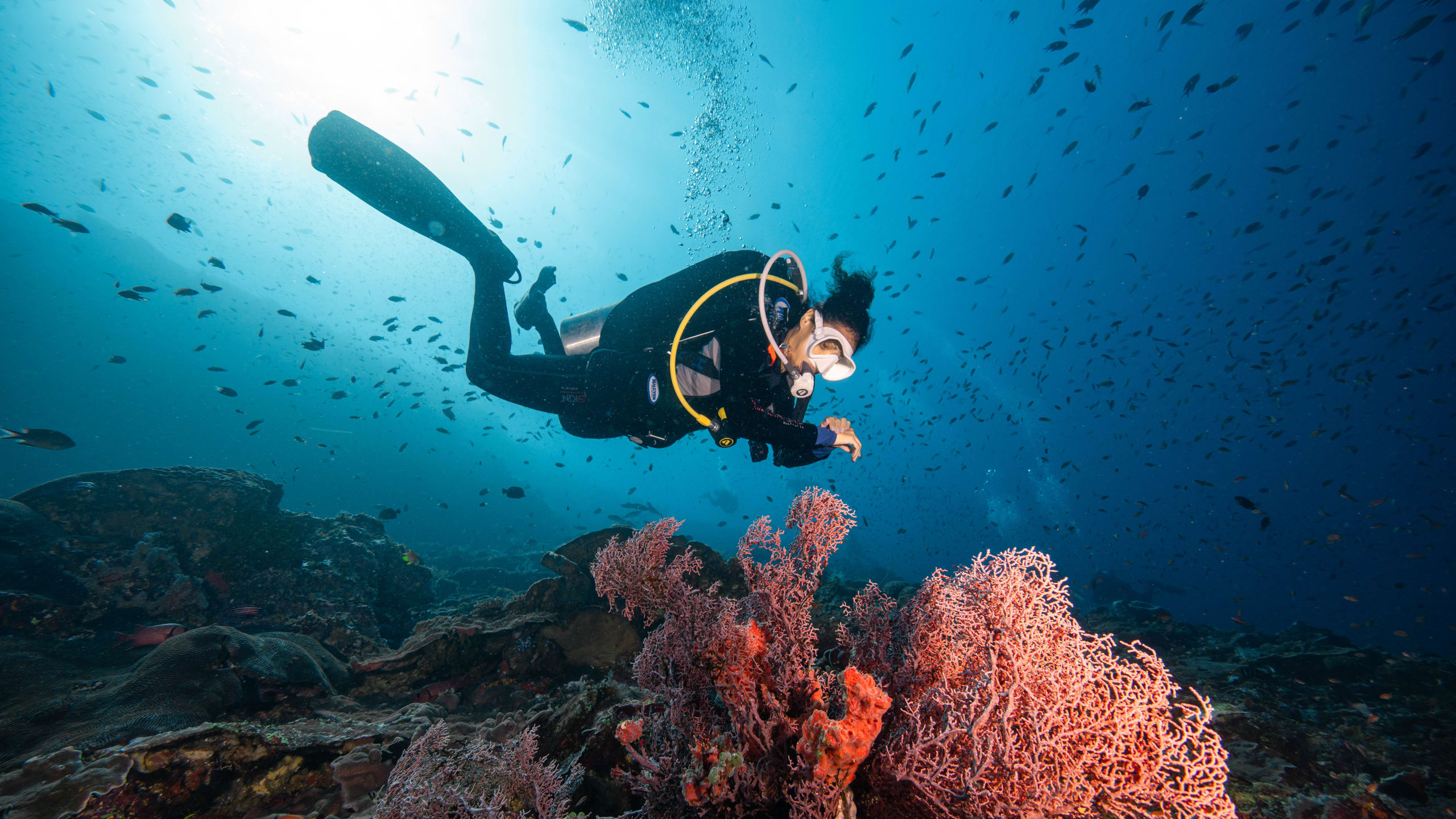Perfect Buoyancy Nusa Penida